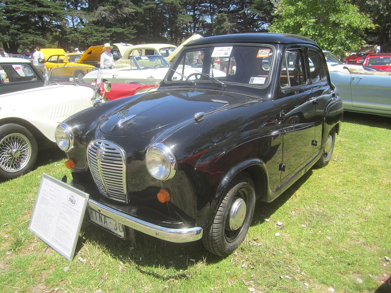 Austin A30, rear