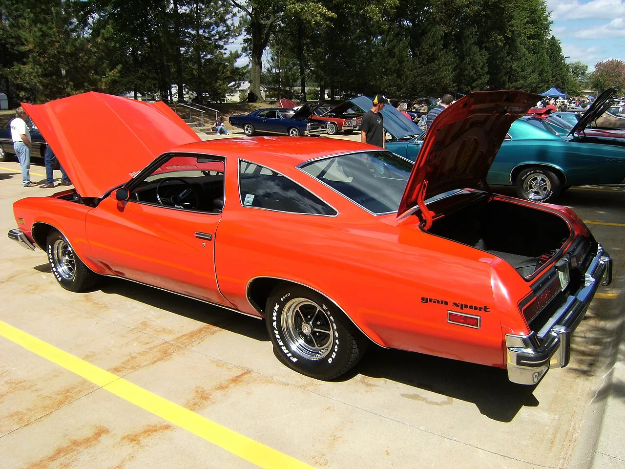 Buick Century, rear
