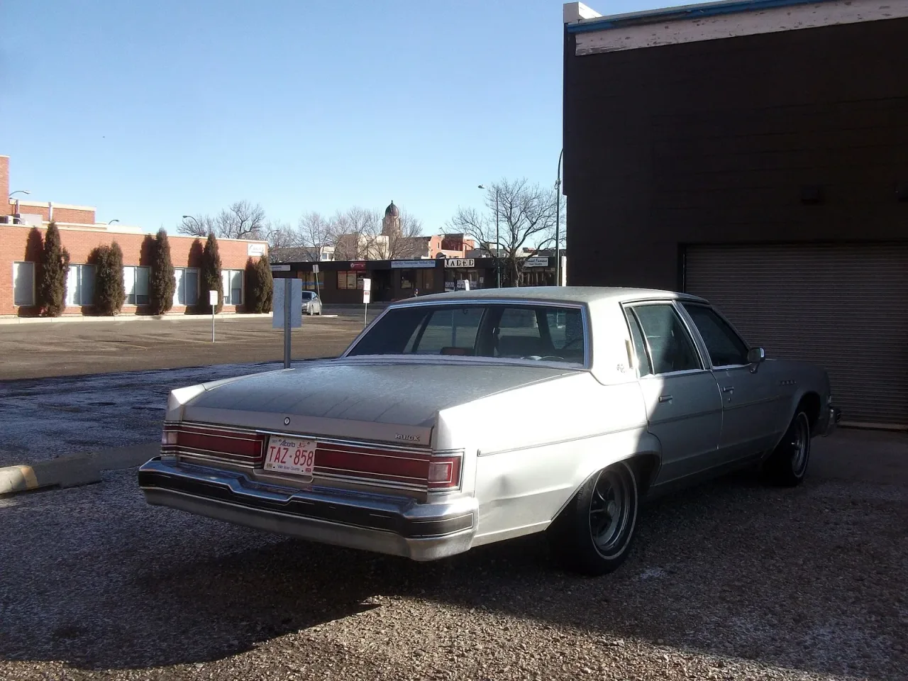 Buick Electra/Park Avenue, rear