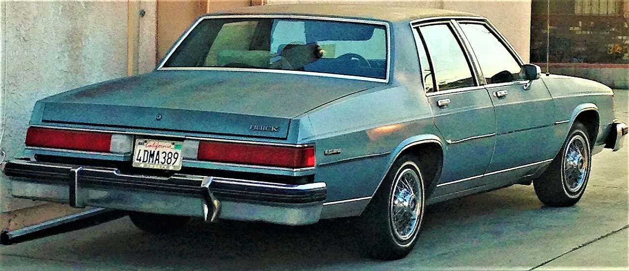 Buick LeSabre, rear