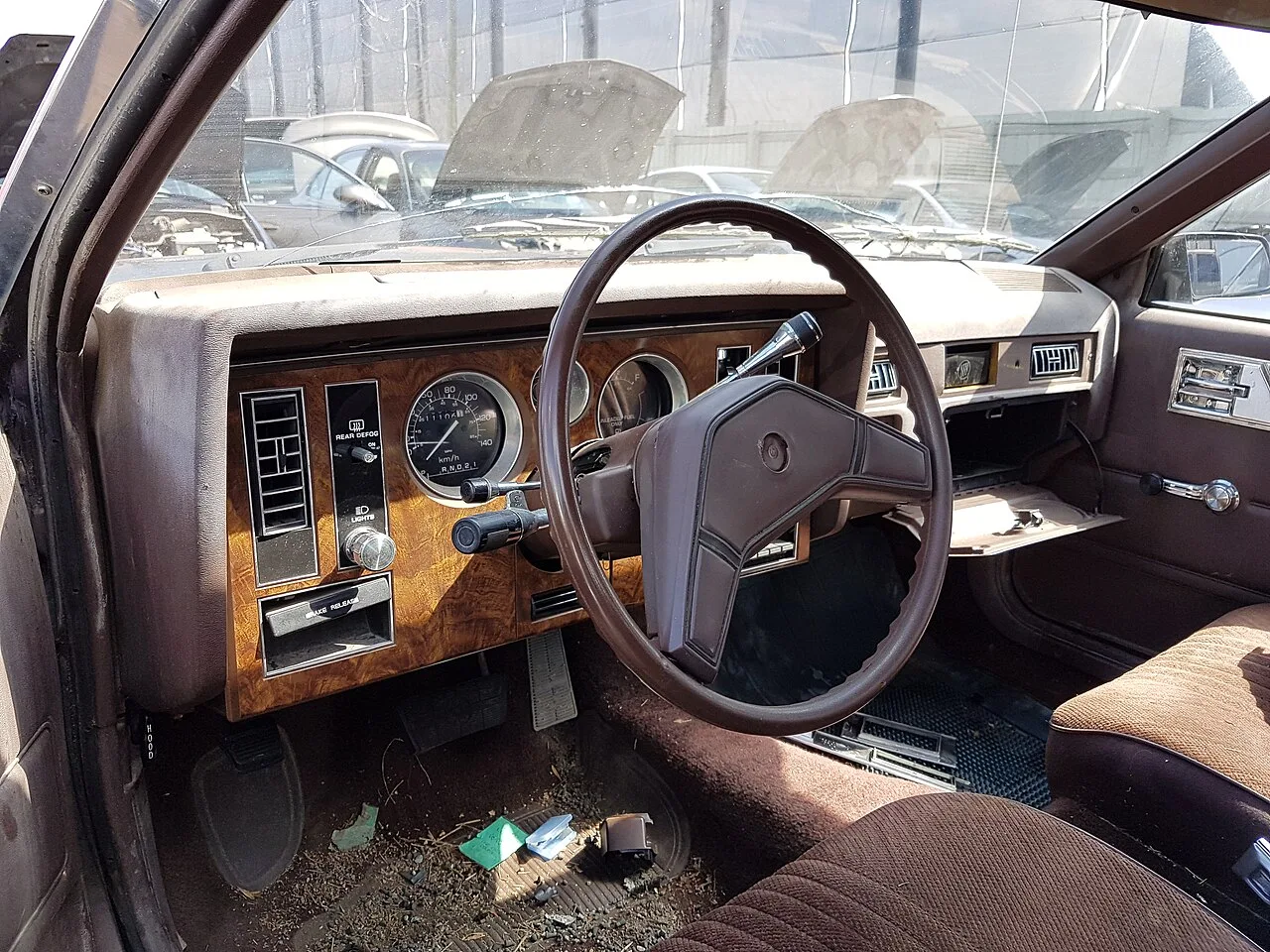 Buick Skylark, interior