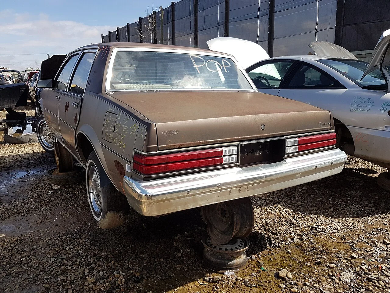 Buick Skylark, rear