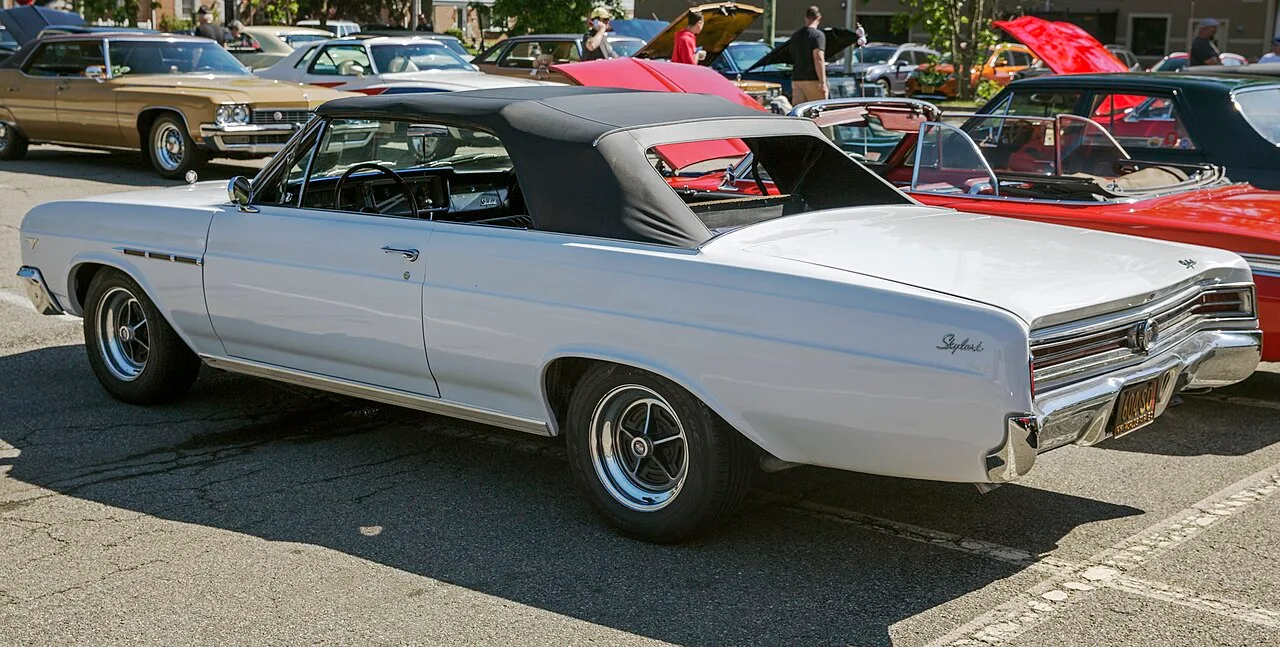 Buick Skylark, rear
