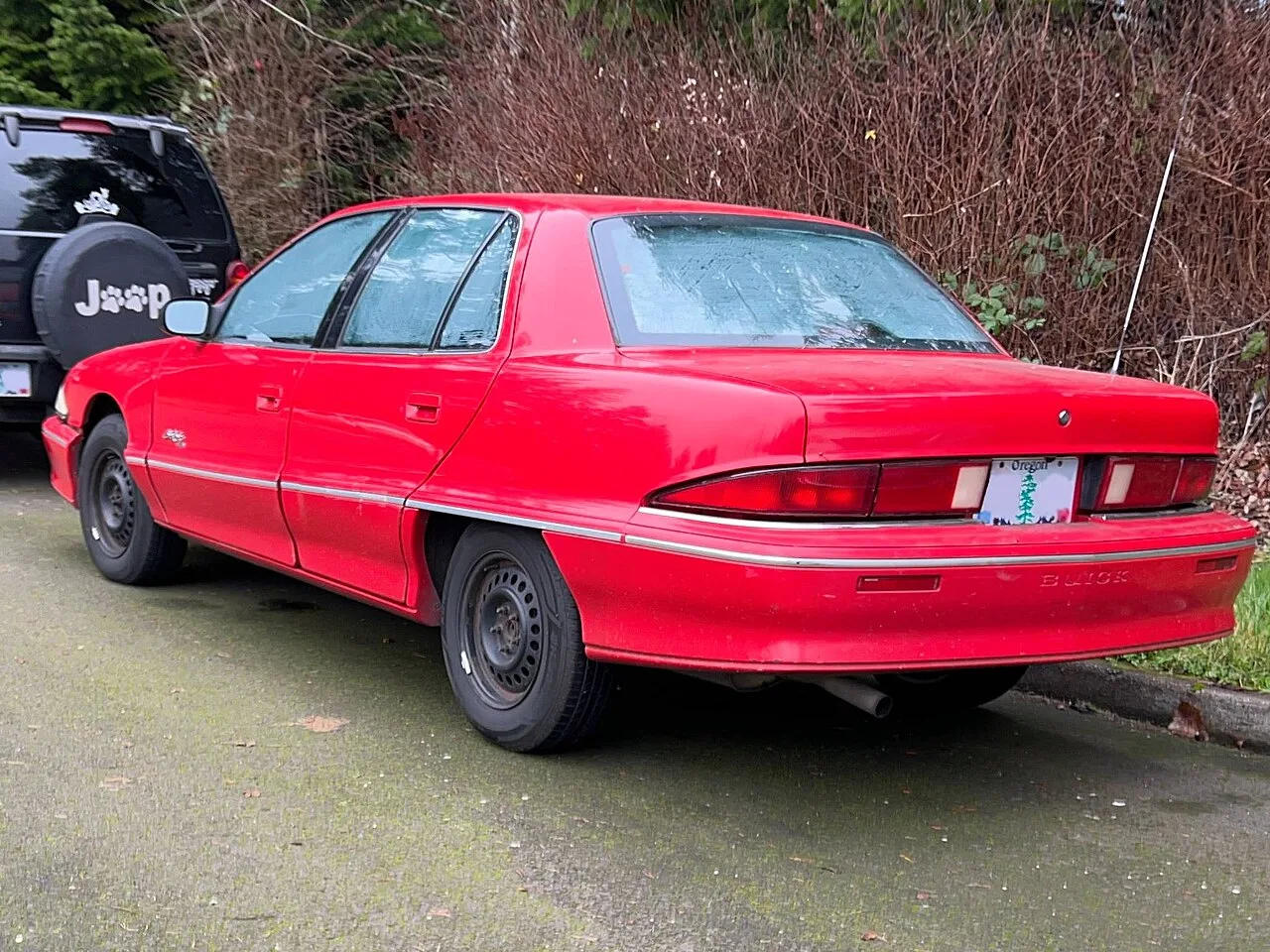 Buick Skylark, rear