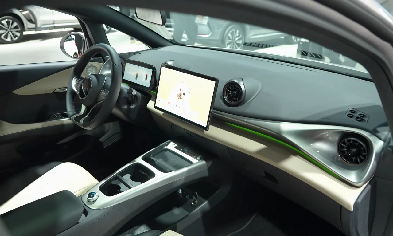 BYD Dolphin, interior