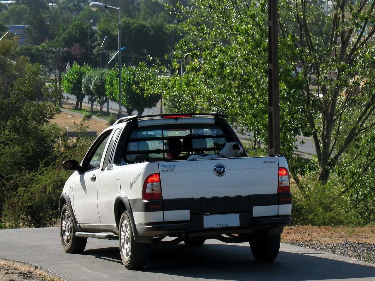 Fiat Strada first generation 278, rear