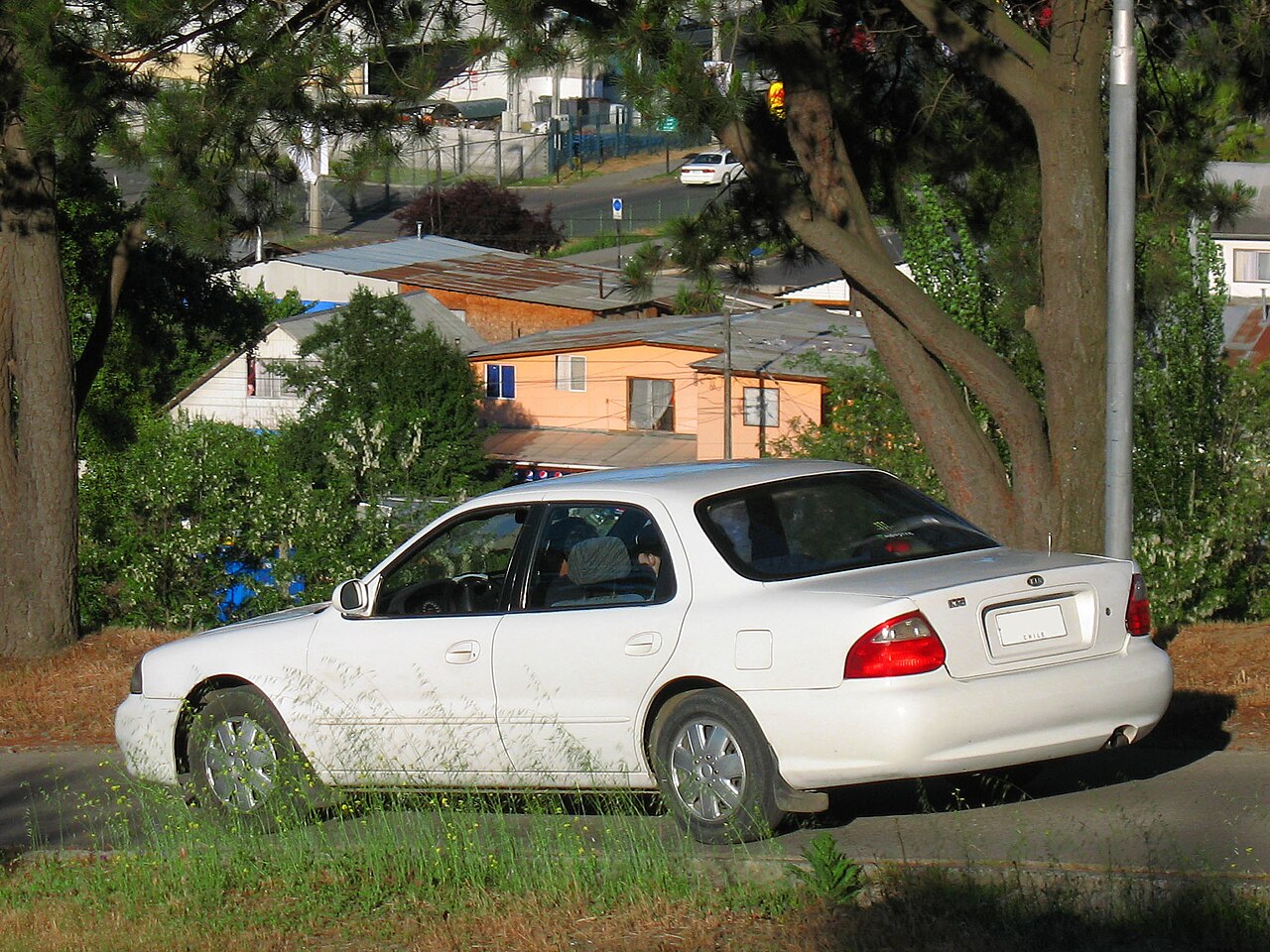 Kia Credos / Clarus, rear