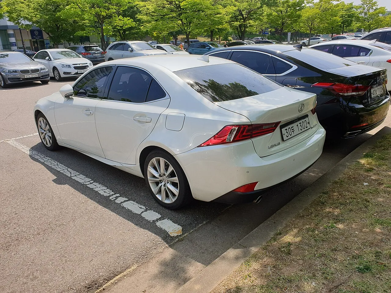 Lexus IS, rear