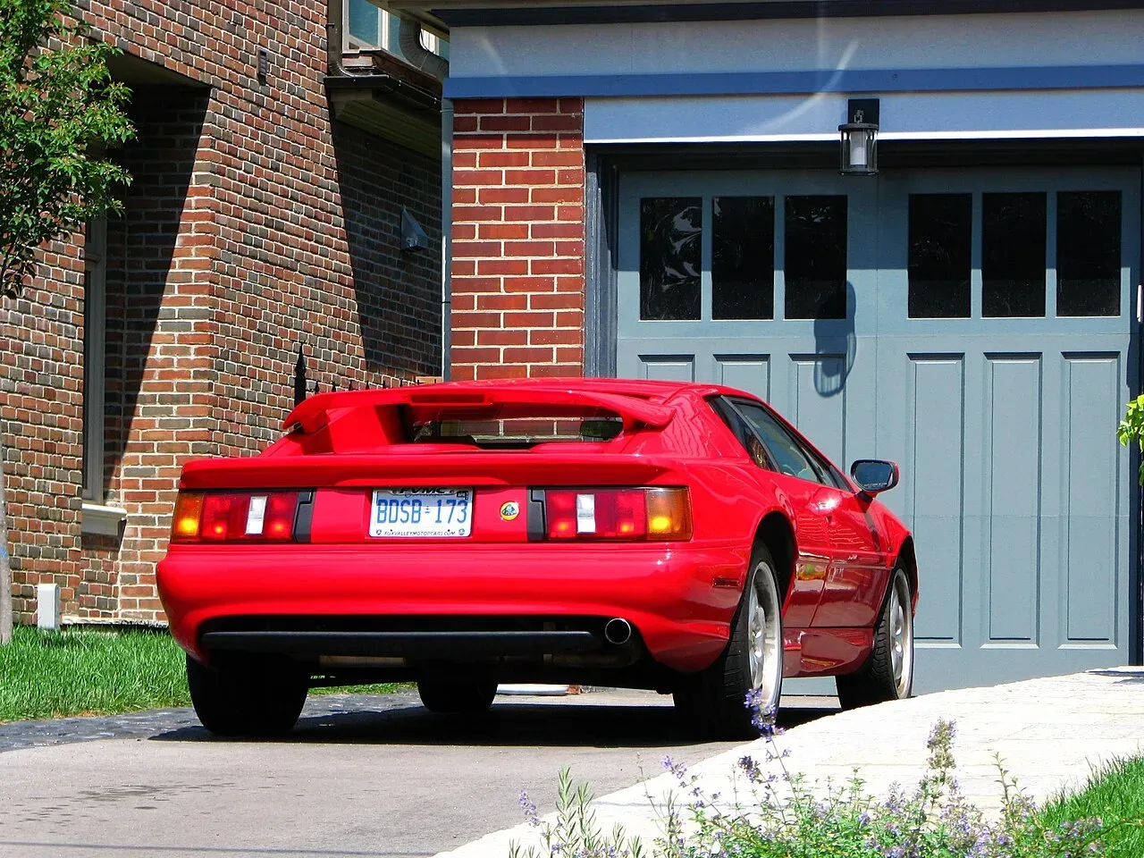 Lotus Esprit, rear
