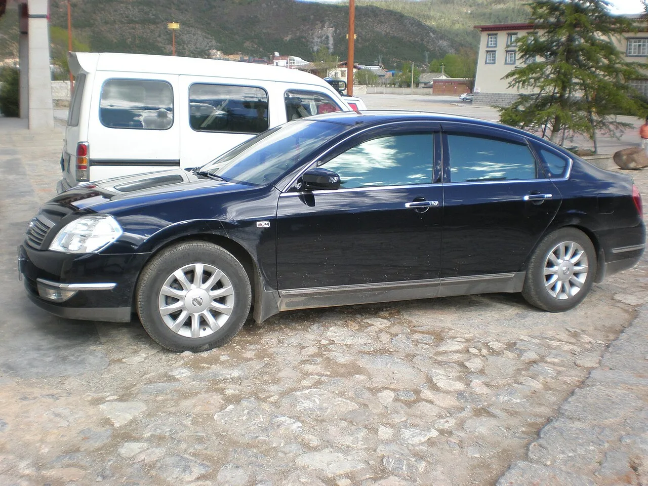 Nissan Teana J31, side