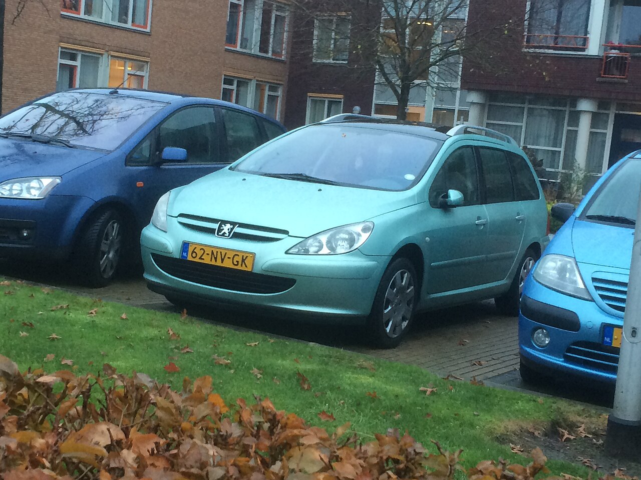 Peugeot 307, rear