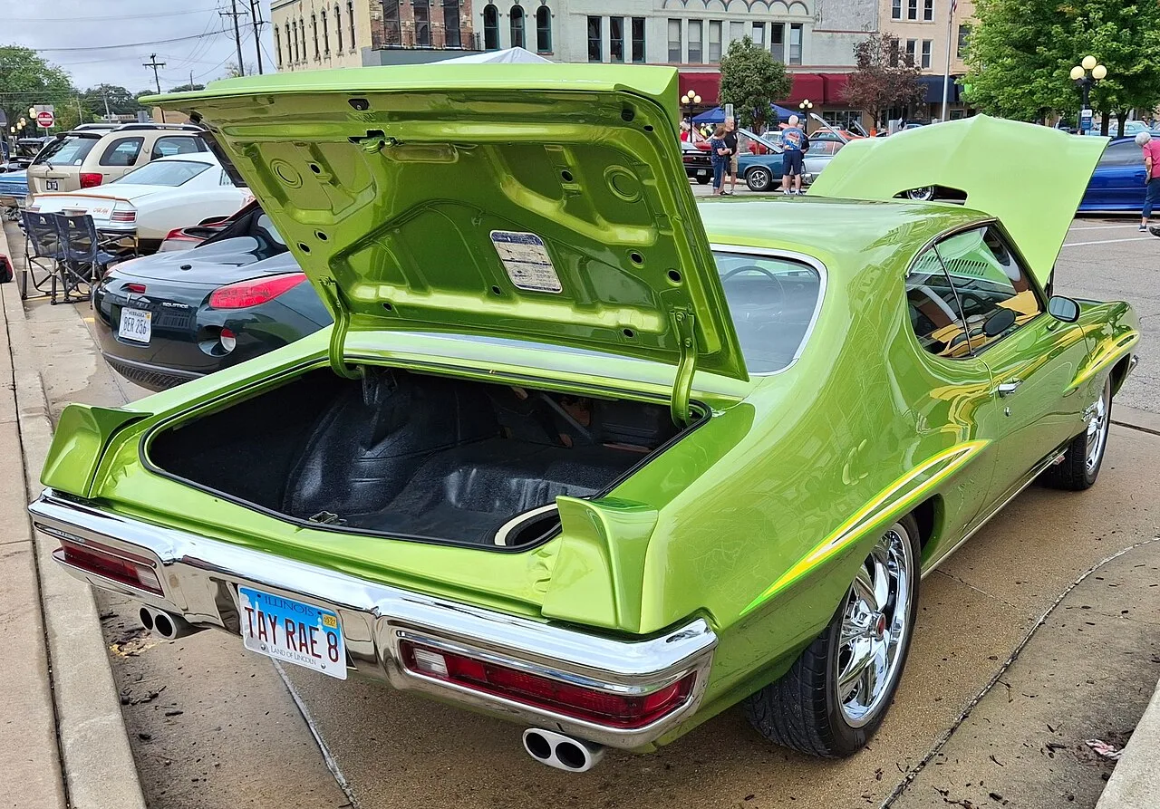 Pontiac Lemans, side