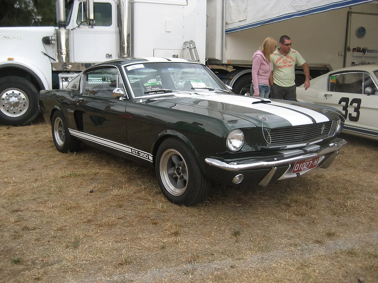 Shelby GT350, rear