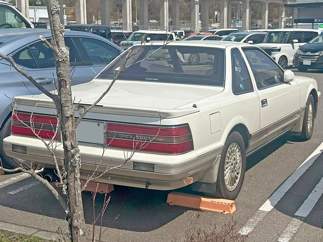 Toyota Soarer, rear