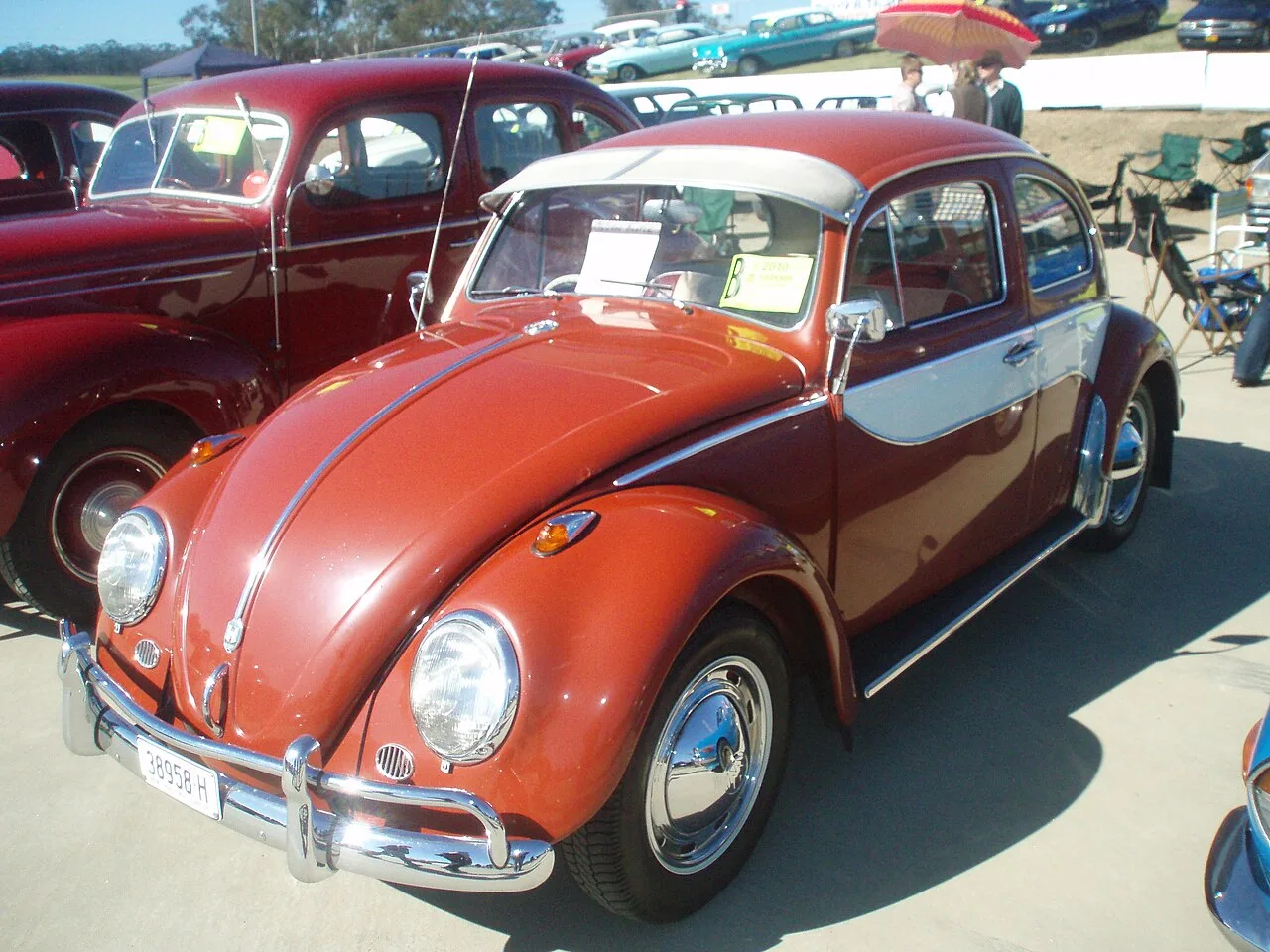 Volkswagen Beetle (Type 1), side